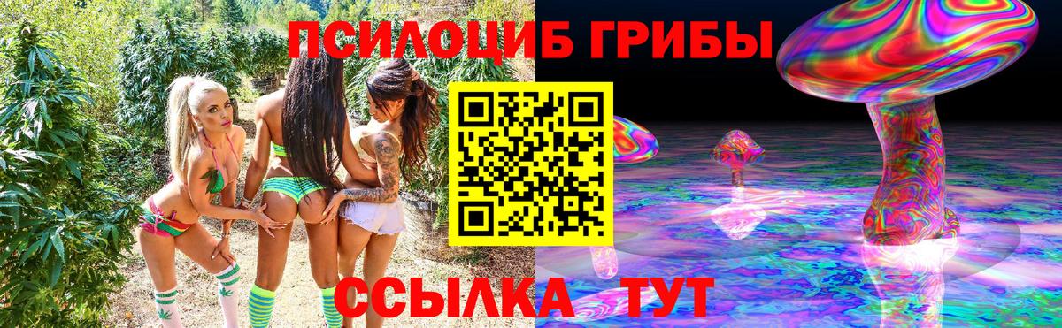 Заволжье  Галлюциногенные грибы прущие грибы  Псилоцибиновые грибы прущие грибы  Вход с VPN 
