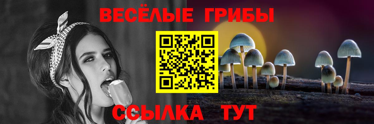 Галлюциногенные грибы Cubensis Заволжье
